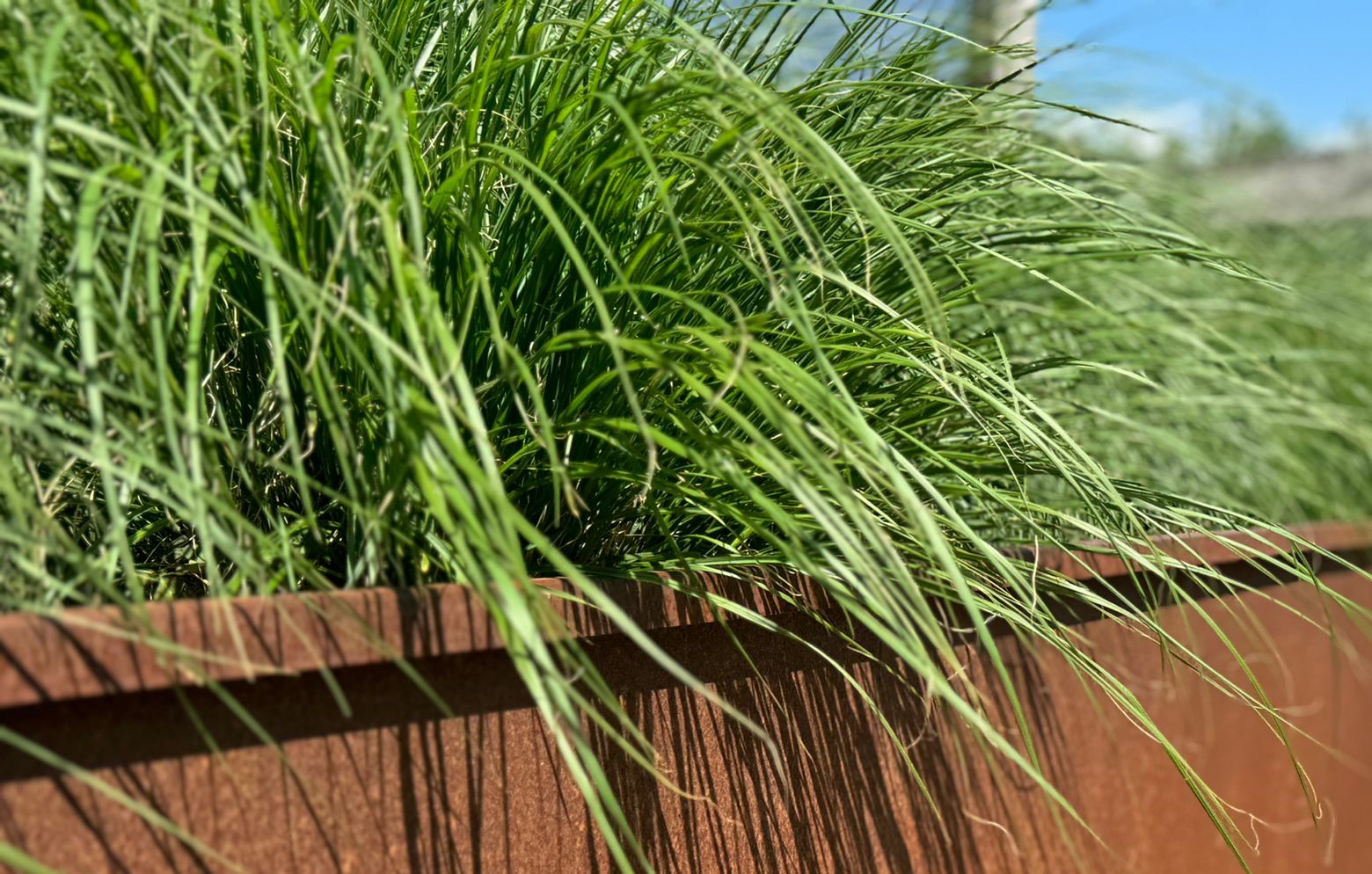 Aboording cortenstaal tuin